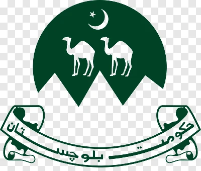 Balochistan’s digital health model showcased at Global Conference in Sri Lanka