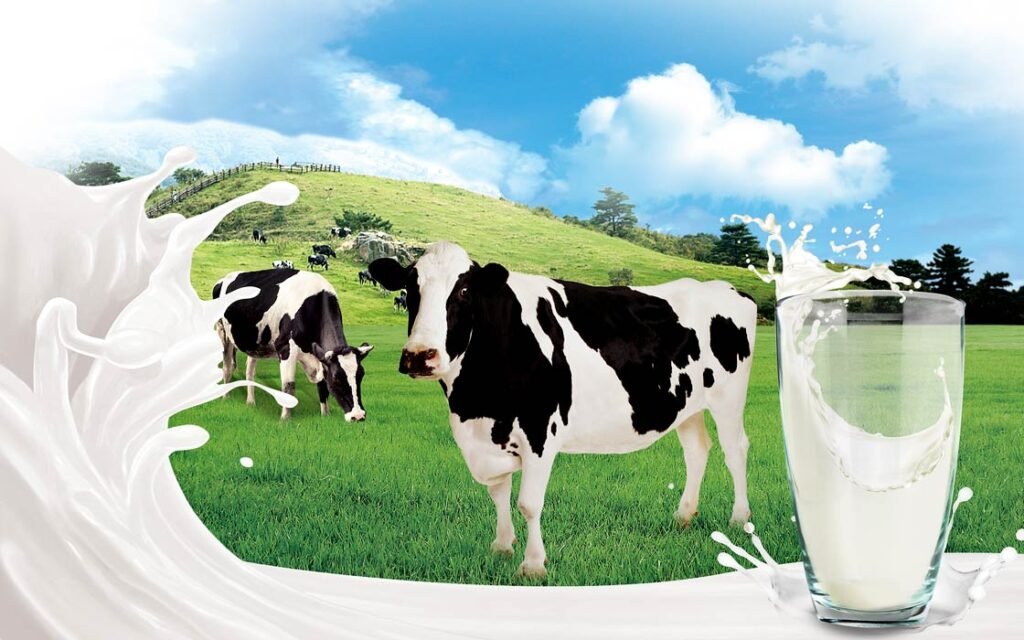 Punjab plans Rs1b dairy mechanization scheme for 6,400 farmers