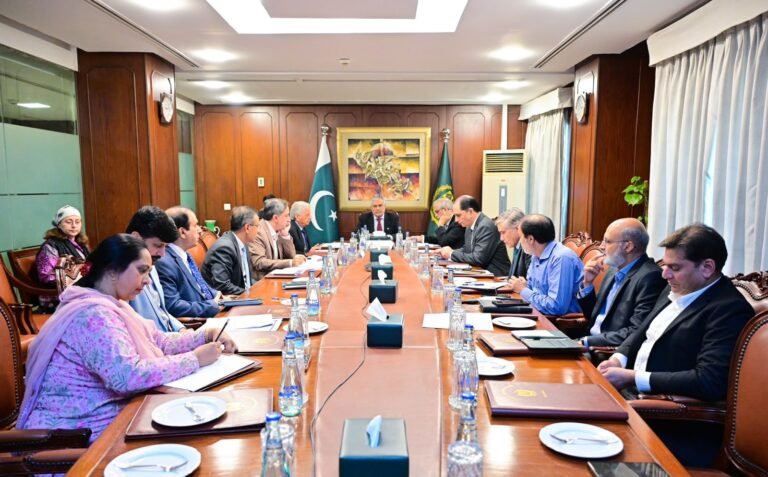 DPM directs monitoring of supply chains, prices of essential commodities