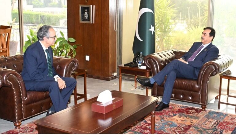 Gilani underscores role of parliamentary diplomacy in advancing Pakistan’s global engagement