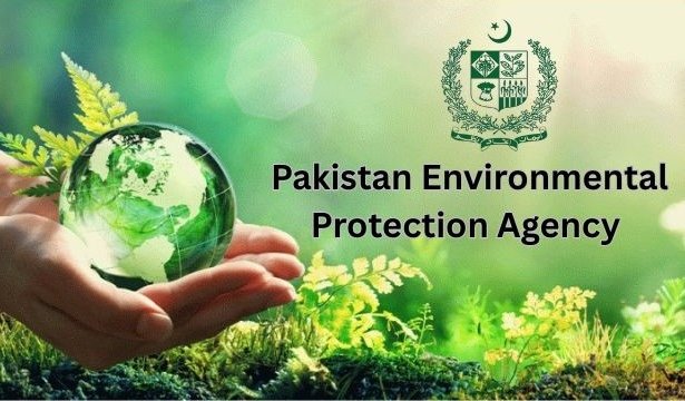 EPA demolishes 197 brick kilns in month-long anti-smog crackdown