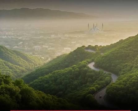 Islamabad’s shrinking green cover sparks call for urgent action