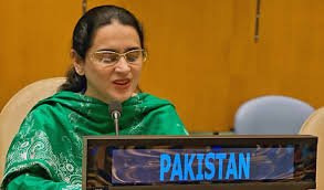 Pakistan reaffirms Kashmir status must be decided by UN-led plebiscite