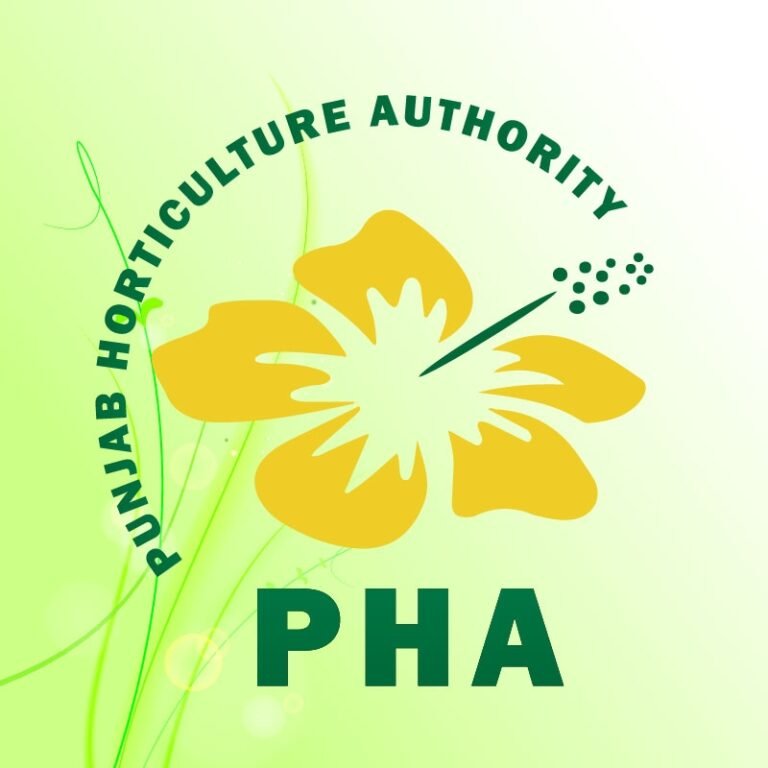 PHA sets up Punjab’s first orchards for transplanted trees