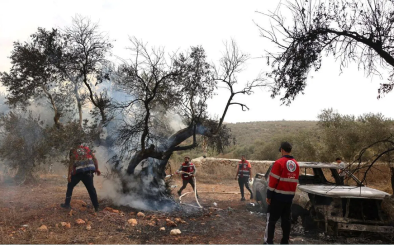 UN experts call on Israel to ensure the safety of Palestinian olive farmers in West Bank