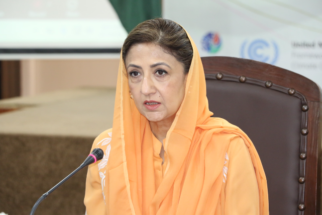 Pakistan needs $565bn to meet climate targets by 2035, says minister