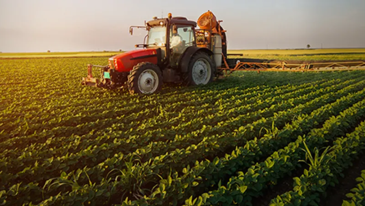Punjab plans £300,000 climate smart farming projects for Cholistan, Thal