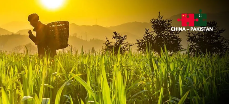 Pakistan’s agricultural “Thousand Talents” program opens third cohort in Yangling