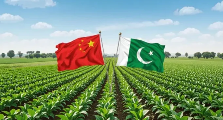 China’s Manzhouli Model offers lessons for Pakistan’s Agro-Processing Sector