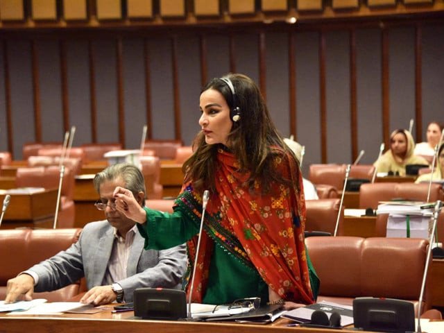 Senate unanimously adopts resolution on population growth