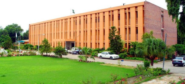 SAU, TDAP join hands to promote Sindh’s mango exports, meet international standards