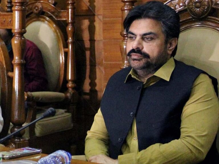 LG Bodies’ performance, transparency to be reviewed by high-level committee: Nasir Shah