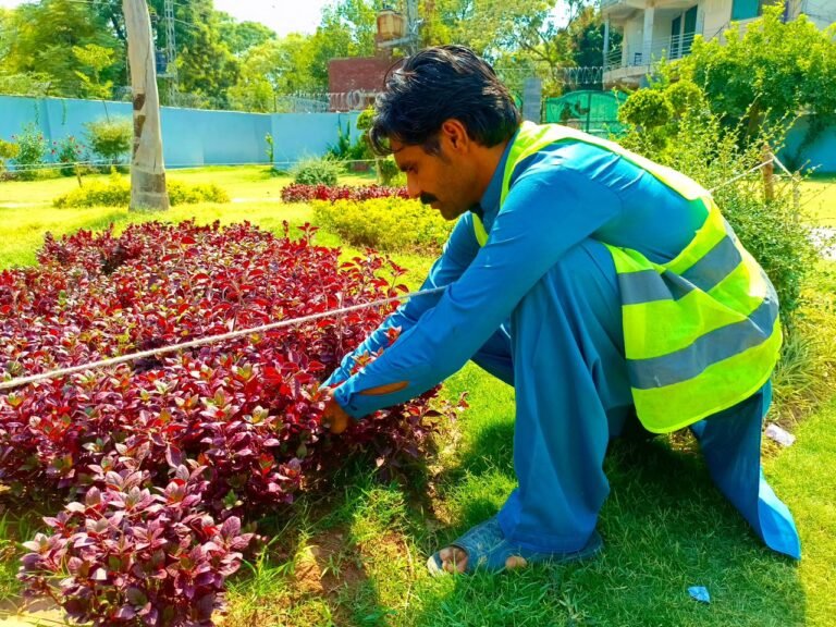 Muhammad khan park renovated to improve recreational facilities in Chunian