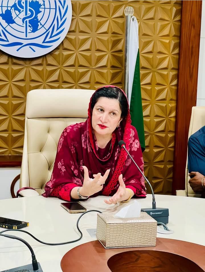 DHO stresses early dengue detection, timely treatment