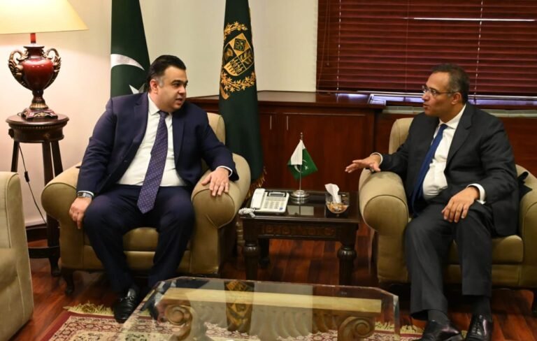 Chairman K-Electric calls on MoS/SAPM Fahd Haroon