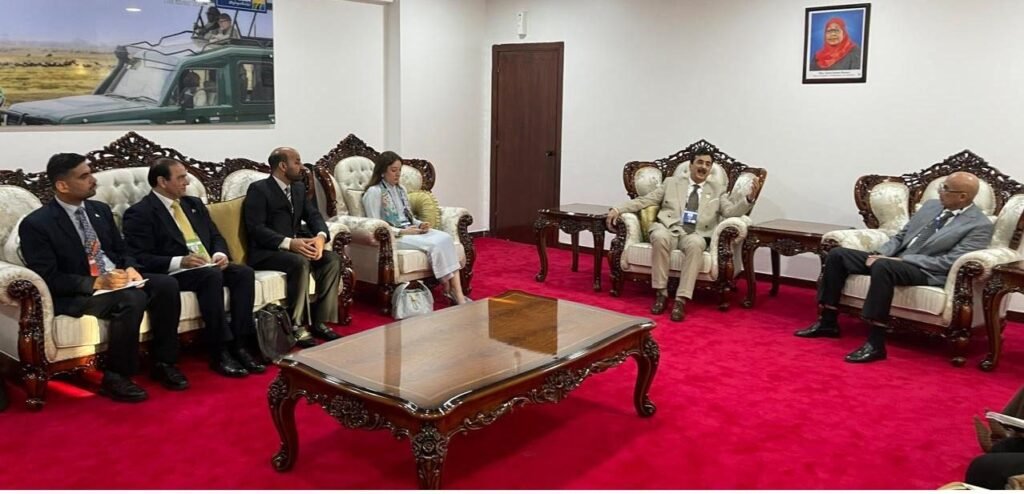 Gilani proposes measures to strengthen Pakistan–Tanzania relations