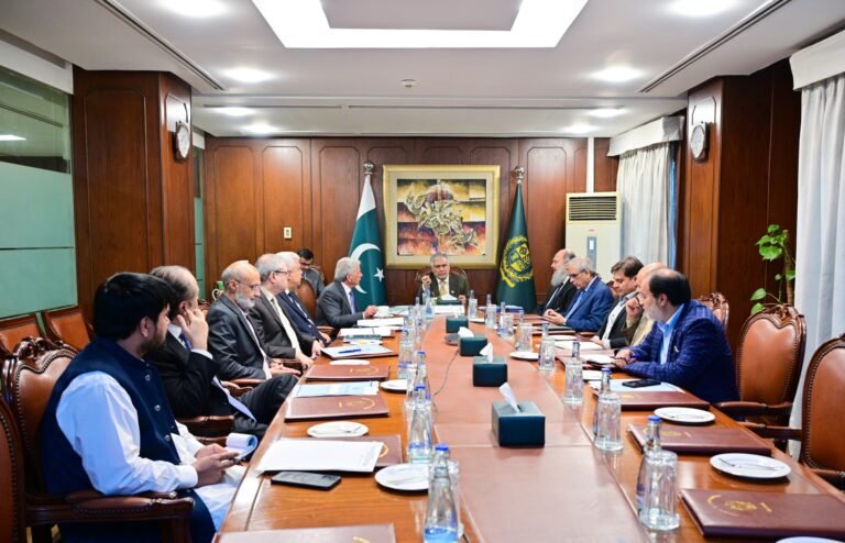 DPM/FM Ishaq Dar reviews wheat import progress