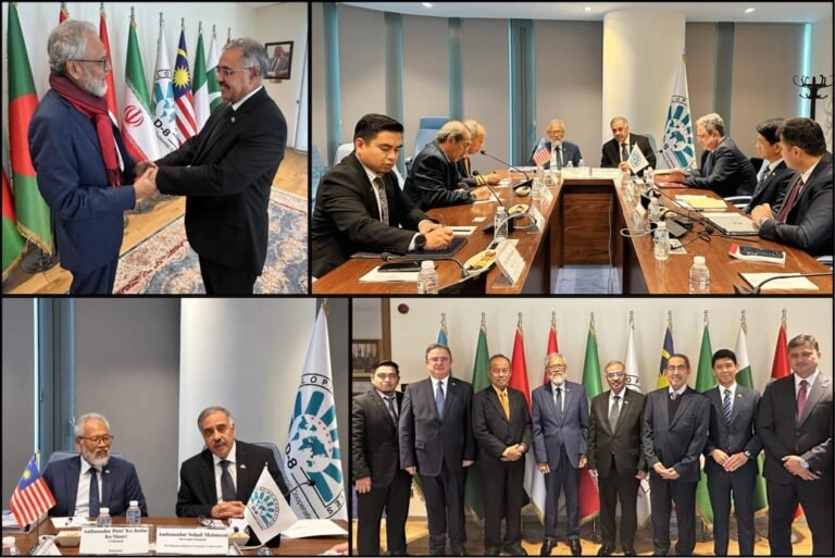 D-8, Al-Hidayah Group discuss digital trade, investment cooperation