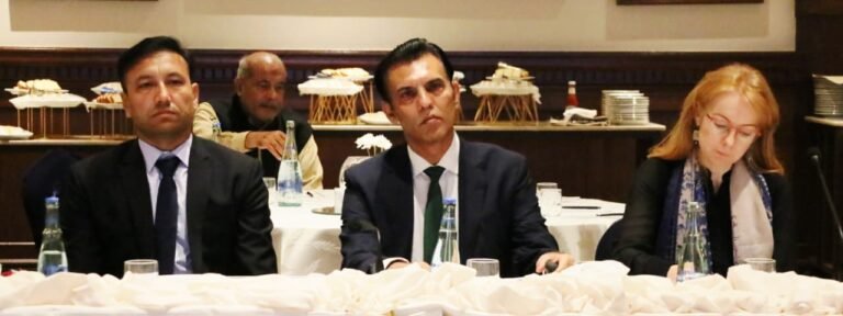 Experts call for scaling up electric cook stoves to ease gas & wood dependence