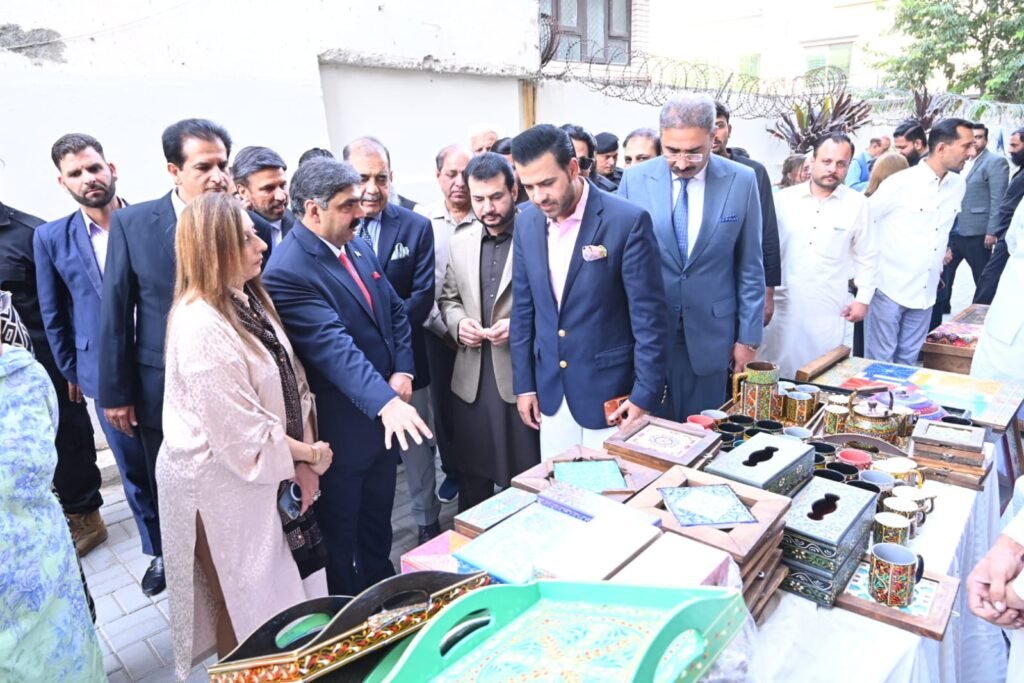 Barrister Danyal invites women entrepreneurs to contribute as parliamentarians