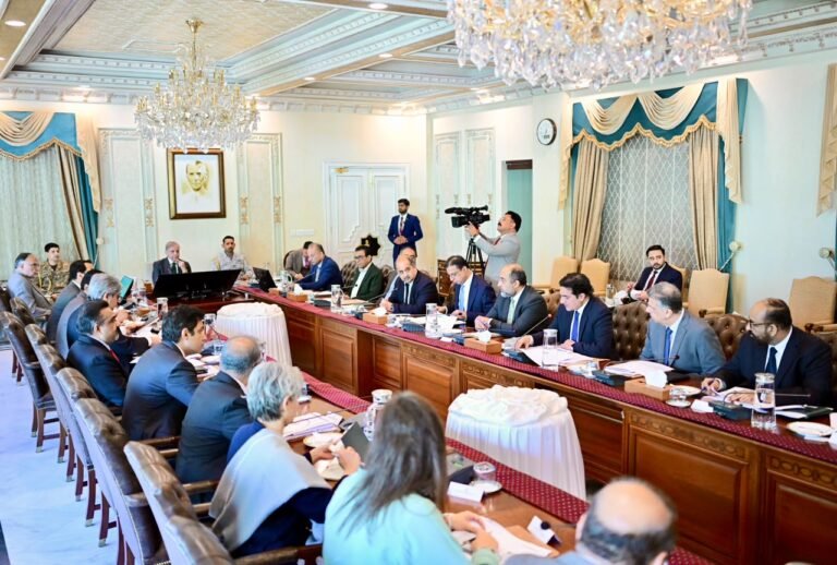 PM directs urgent implementation of reforms in Islamabad government schools