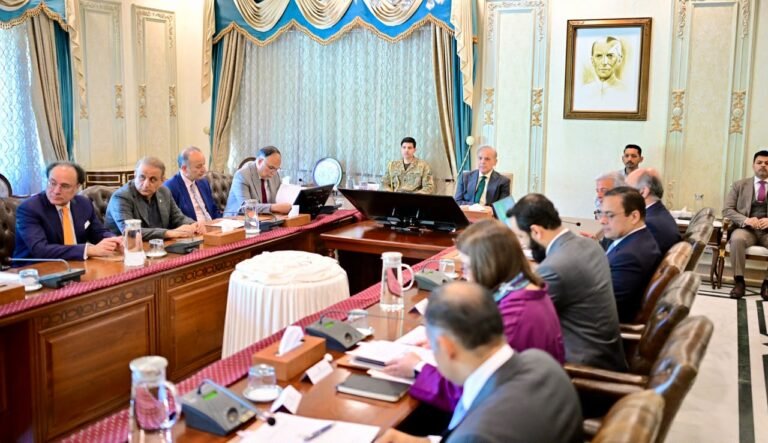 PM directs ministries to complete Alibaba-backed AI, digitalisation projects by next month
