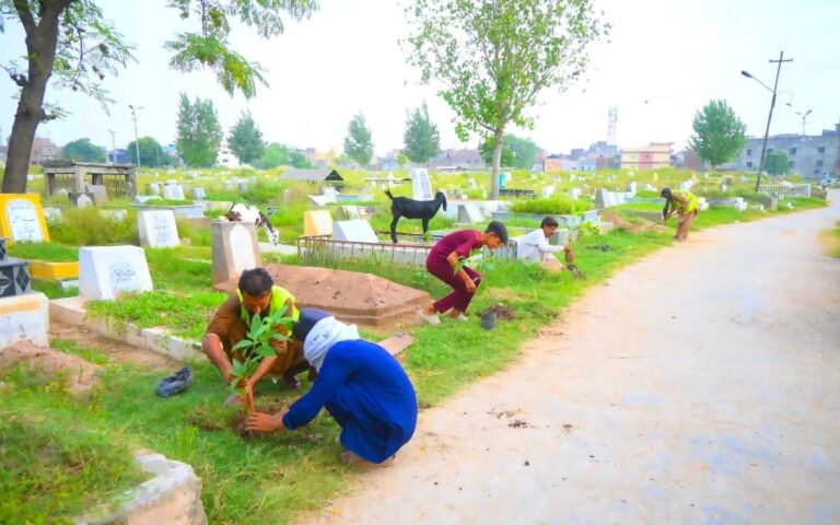 Horticulture Agency continues plantation drive in graveyards