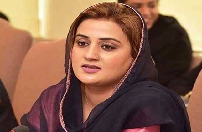 KP needs peace and jobs, not sit-ins and long marches: Minister Azma