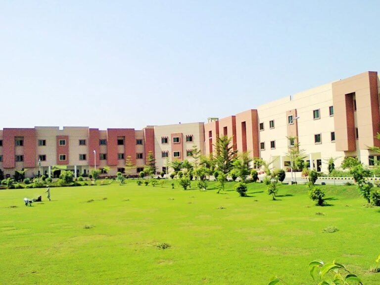 BISE puts ninth-grade result cards online