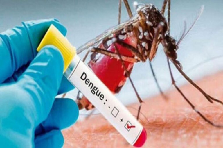 Dengue outbreak reaches 40, as 2 fresh cases reported during 24 hrs