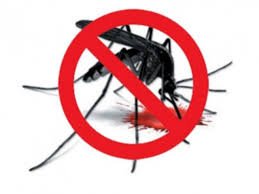 Dengue cases hit 54, health authorities imposed Rs 3.15mn on violators