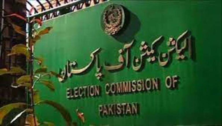 ECP proposes LG elections on Dec 14 in Punjab
