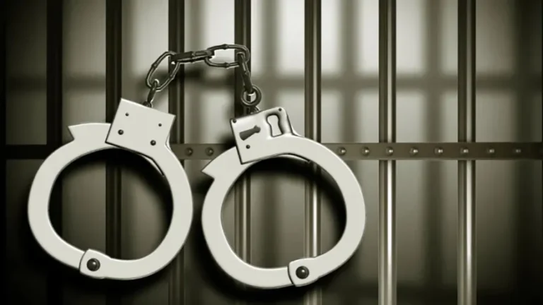 Two-member motorcycle theft gang arrested