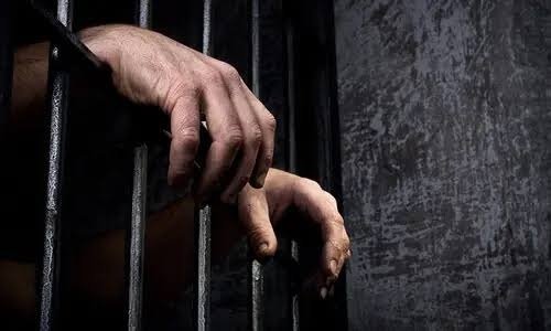 Lahore Police arrest nine suspects in cases of violence against women, children