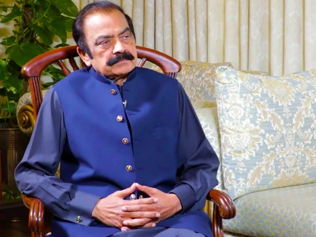 No grievance justifies objectionable remarks against state: Rana Sanaullah