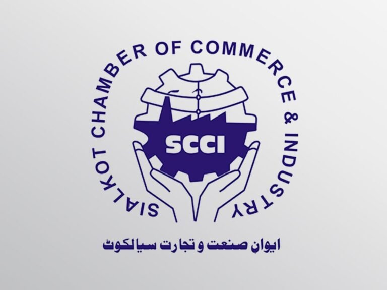 SCCI president raises customs facilitation issues